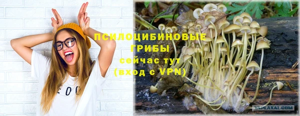 синтетический гашиш Краснослободск
