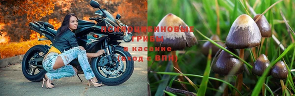 синтетический гашиш Краснослободск